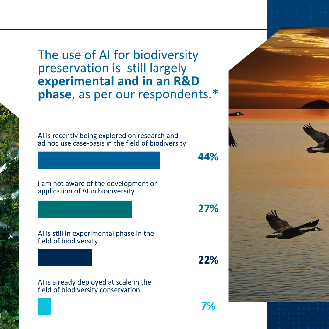 AI Risks and Biodiversity Survey