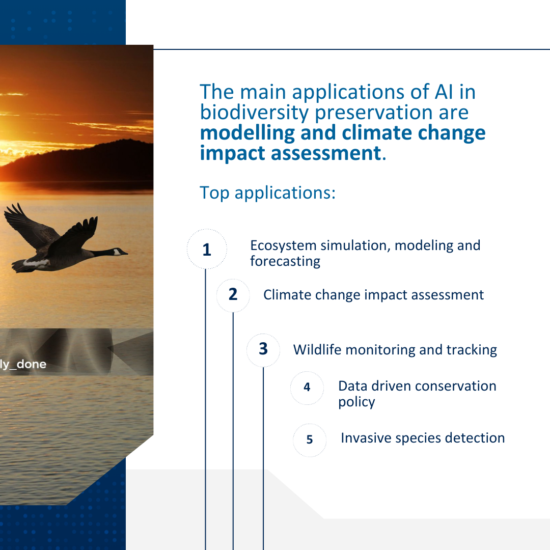 AI Risks and Biodiversity Survey