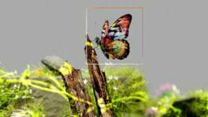 An artist’s illustration of artificial intelligence (AI). This illustration depicts how AI could help understand ecosystems and identify species. It was created by artist Nidia Dias as part of the Visualising AI project launched by Google DeepMind.